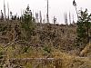 DSC06067.jpg